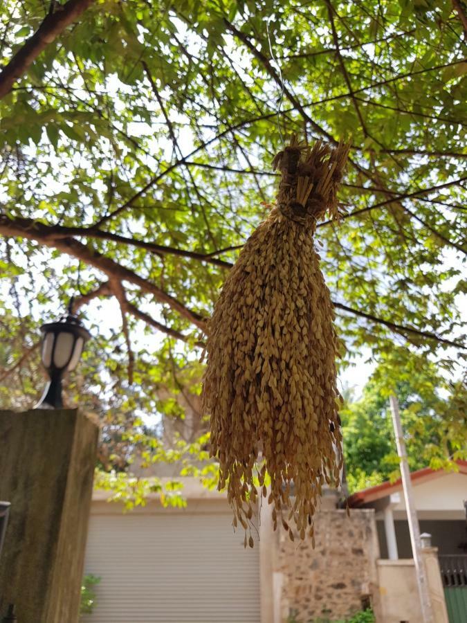 Nimal'S Home 阿努拉德普勒 外观 照片